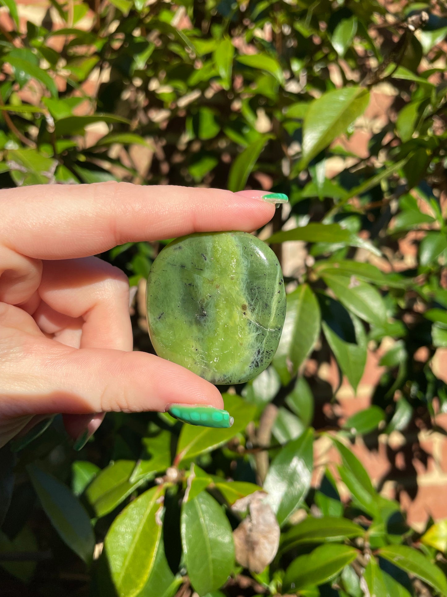 Nephrite Jade Palmstones