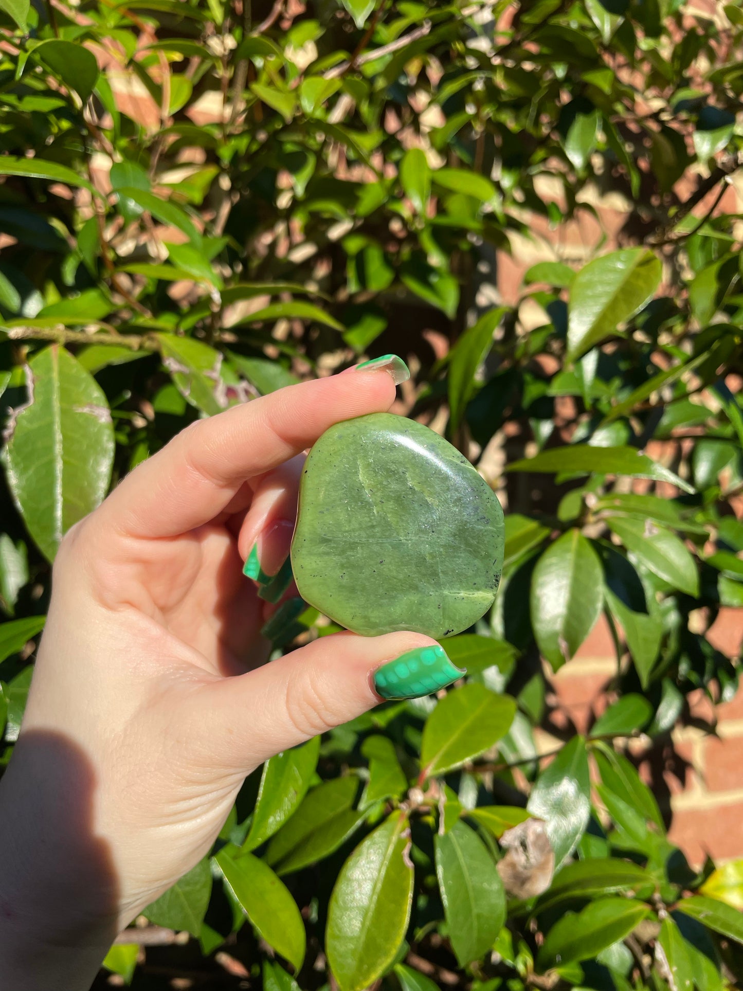 Nephrite Jade Palmstones