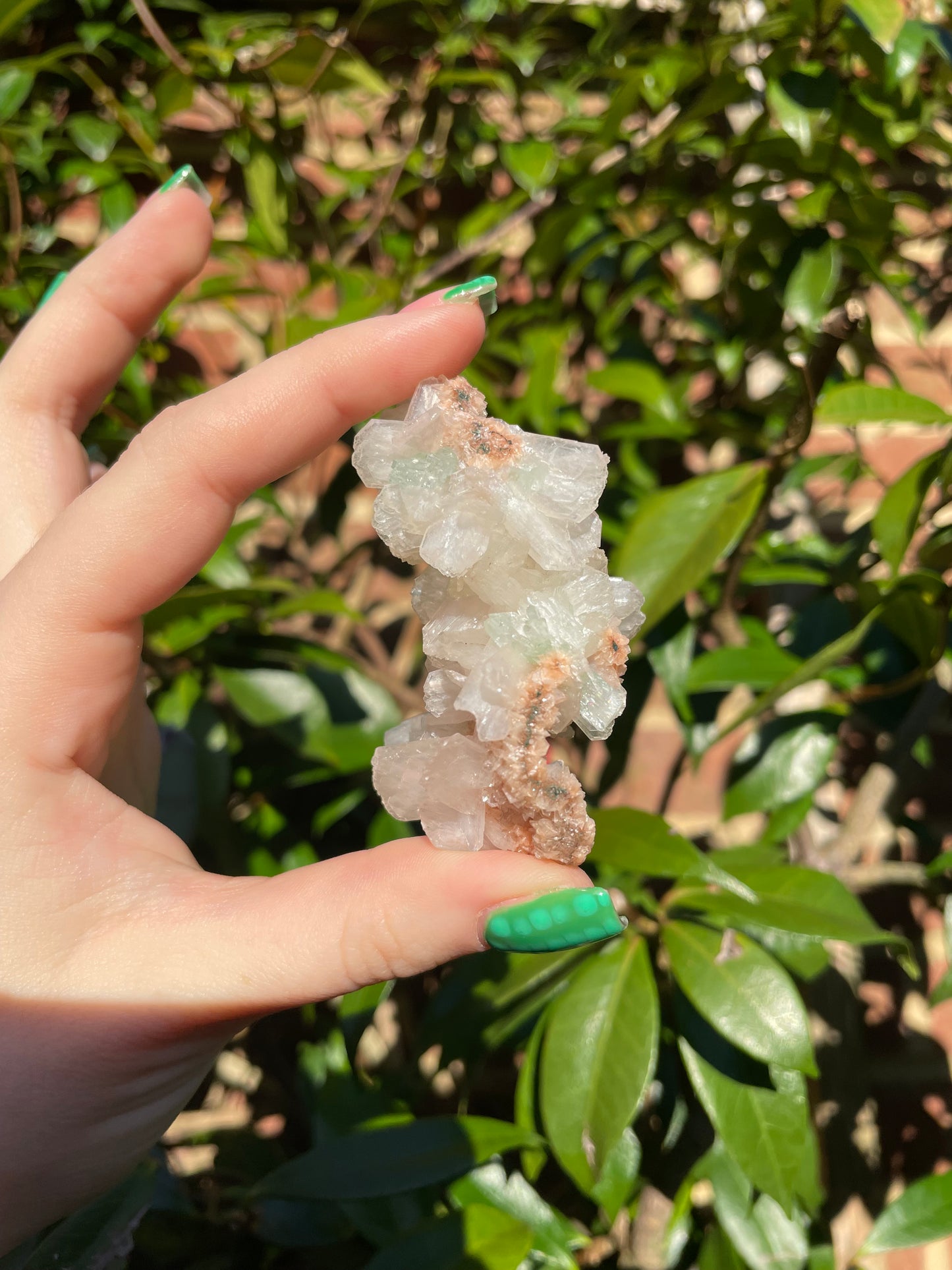 Green Apophyllite, Heulandite & Stilbite Bush Formation (41g)