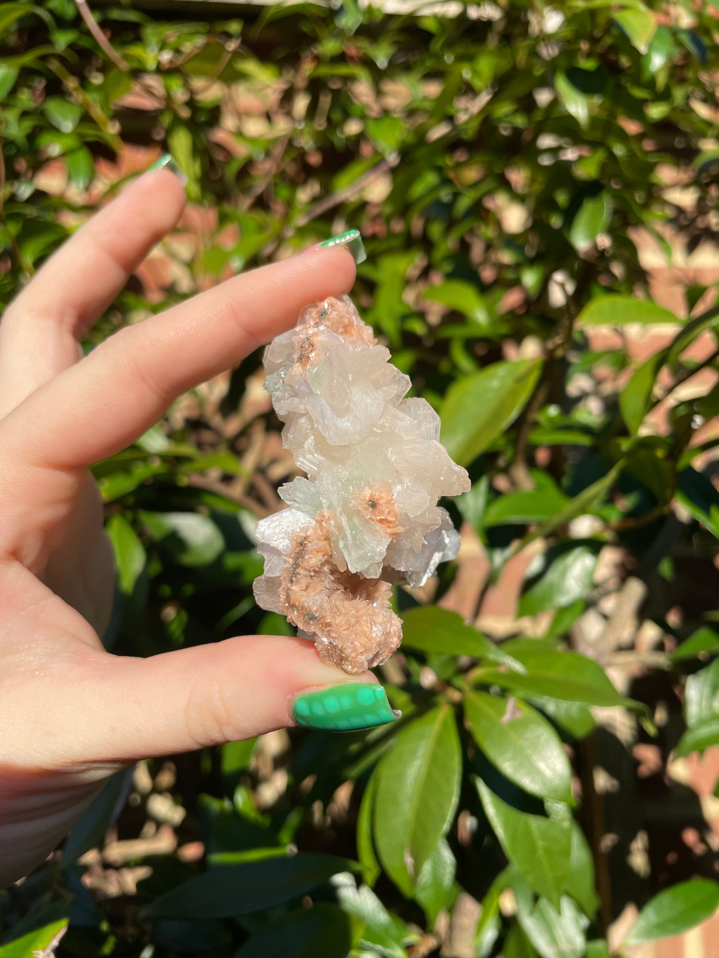 Green Apophyllite, Heulandite & Stilbite Bush Formation (41g)