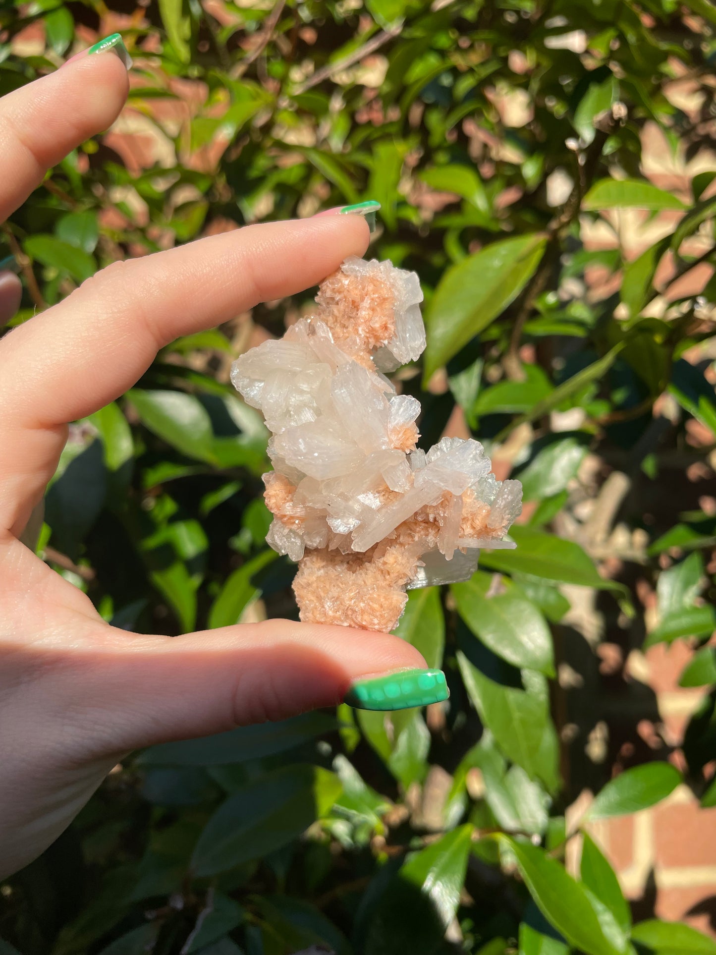 Green Apophyllite, Heulandite & Stilbite Bush Formation (41g)