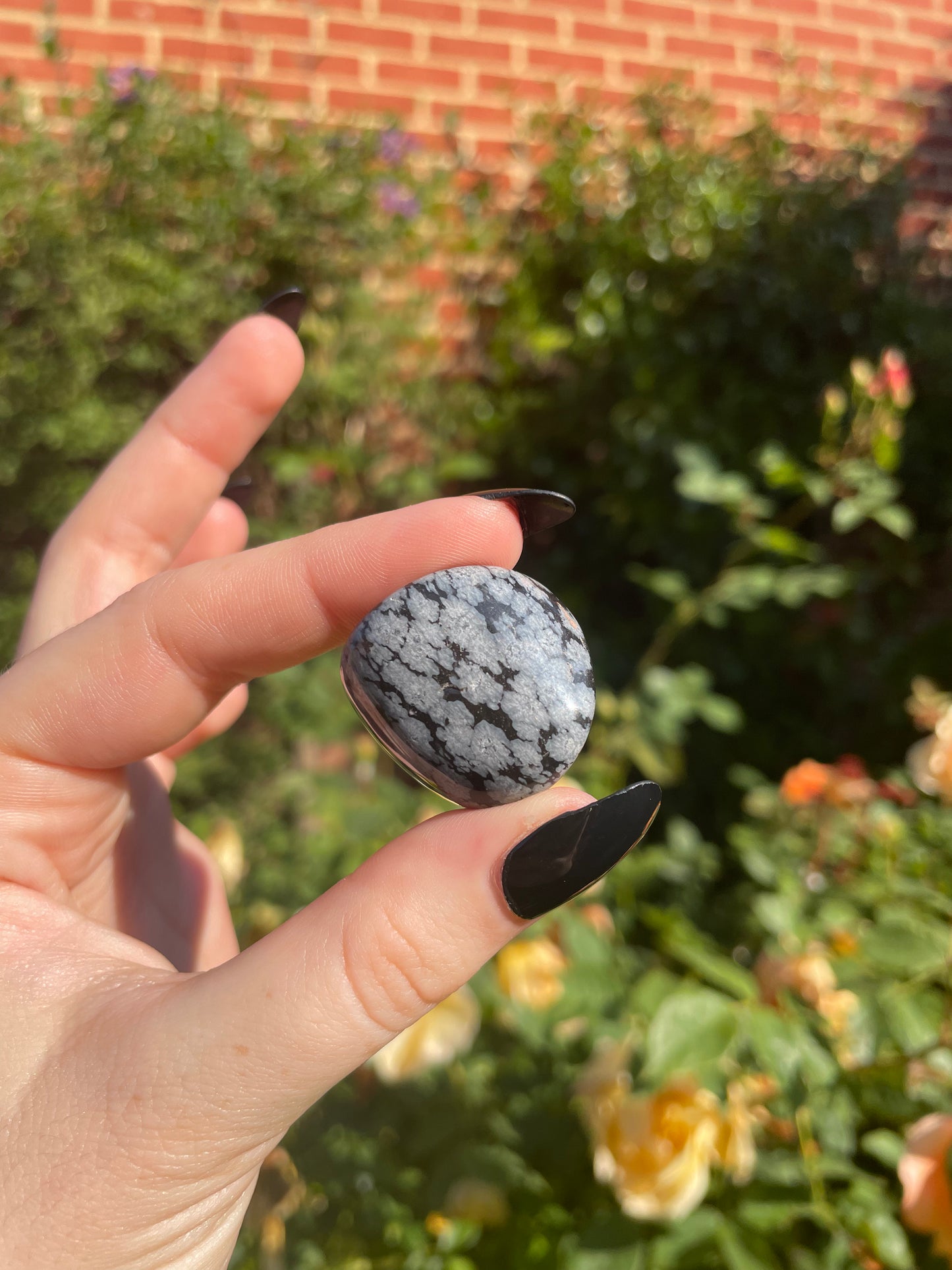 Snowflake Obsidian Tumblestones