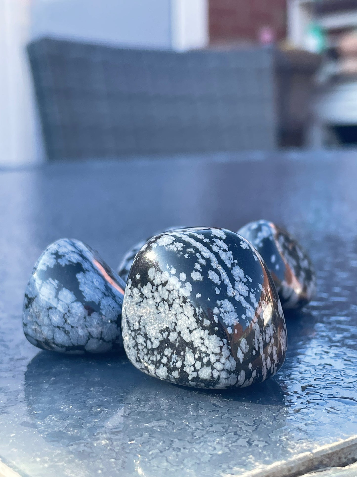 Snowflake Obsidian Tumblestones